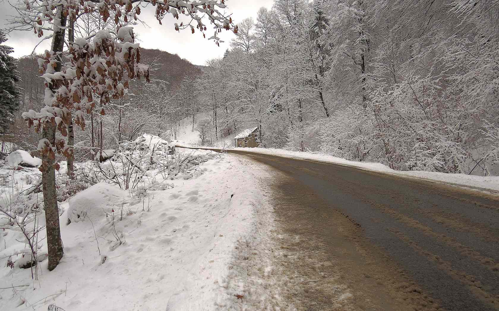 Alberi d''inverno... un invito